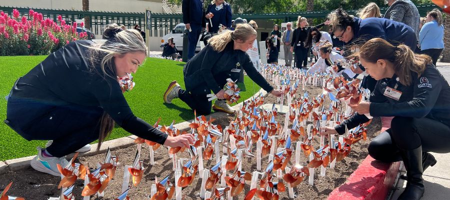 Pinwheel Garden_Webpage_Sidebar