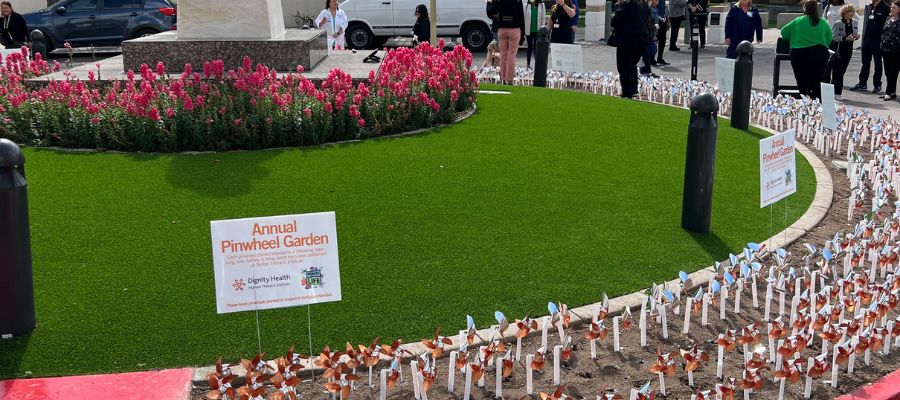 Pinwheel Garden_Webpage_Sidebar