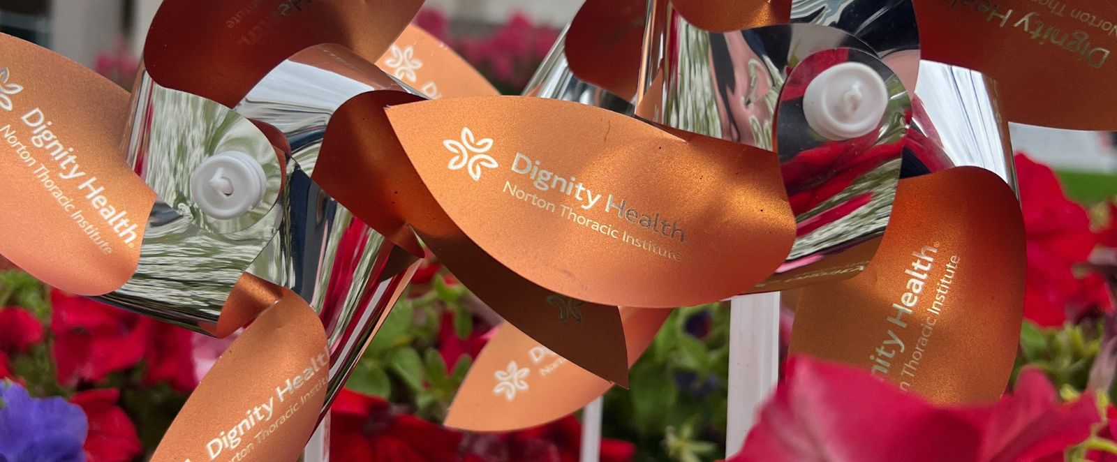 SJF Website_Homepage slider_pinwheel