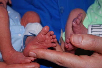 tiny baby feet cradled by parent's hands