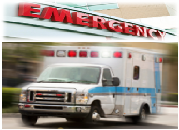 ambulance and emergency room