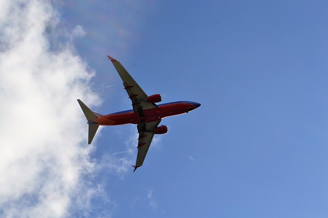 airplane in flight