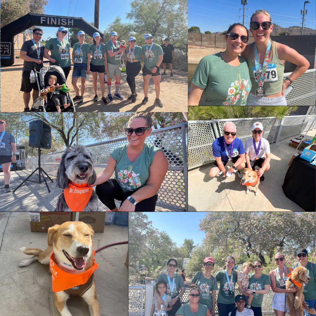 photos of Laura's Run participants