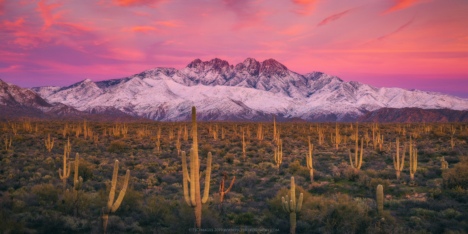 Art work by Peter Coskun