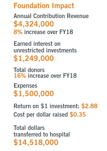 fy18-19 financials
